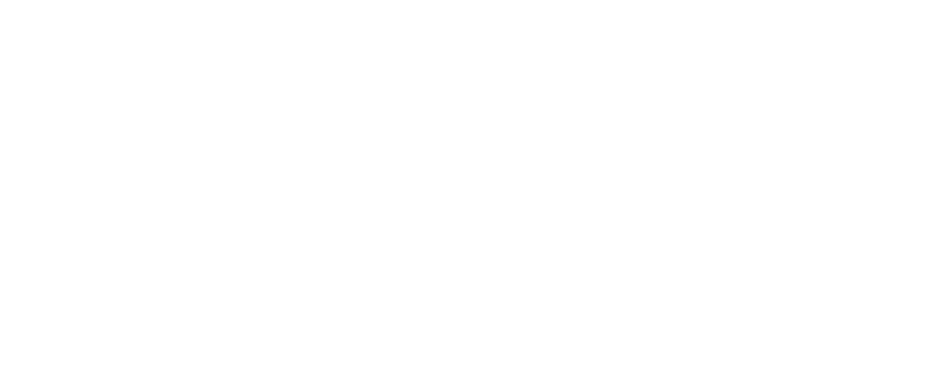 Partner-logo